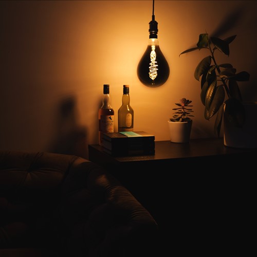 Led's Light  LED Filament Lamp -  PS160 E27 8,5W 200lm 1800K 330° Smokey - Dimbaar-3