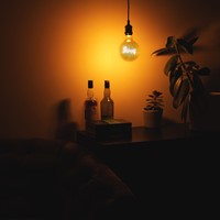 Led's Light  LED Filament Lamp "LOVE" -  G125 E27 4,5W 250lm 1800K 330° Goud - Dimbaar-3