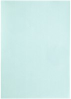 Kopieerpapier Papicolor A4 100gr 12 vel zeegroen-3