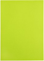 Kopieerpapier Papicolor A4 100gr 12 vel appelgroen-3