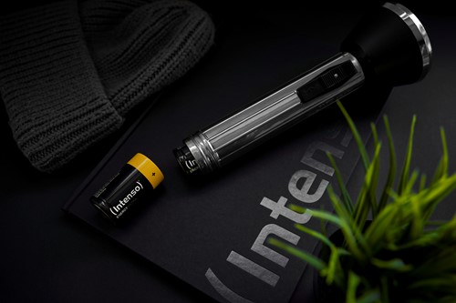 Intenso | Batterijen | Alkaline | Energy Ultra | D | 2 Stuks-3