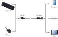 Gembird | Verloopkabel | USB-A naar USB-C | 15cm-2