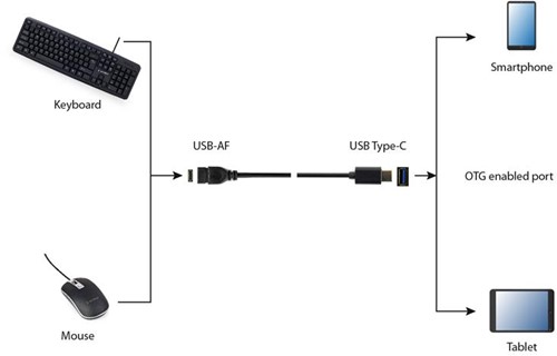 Gembird | Verloopkabel | USB-A naar USB-C | 15cm-2