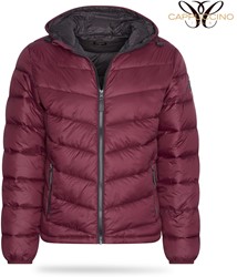 Parma Padded Jacket Hoody Burgundy
