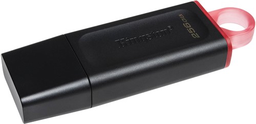 Kingston | USB Stick | 256 GB | USB 3.2 Gen-1 | DataTravler Exodia | Zwart-Paars-3